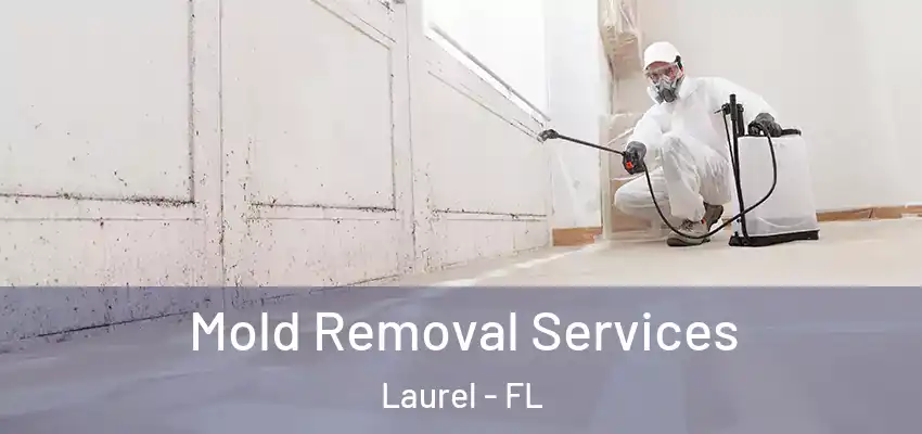  Mold Removal Services Laurel - FL