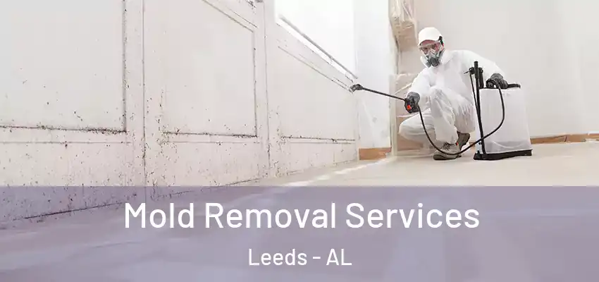 Mold Removal Services Leeds - AL
