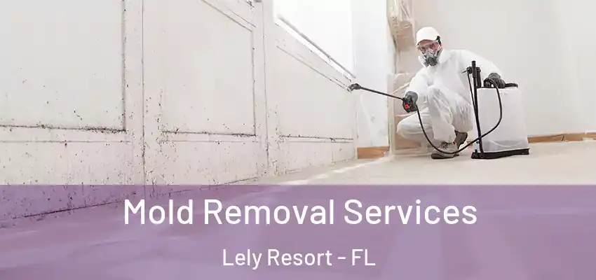 Mold Removal Services Lely Resort - FL