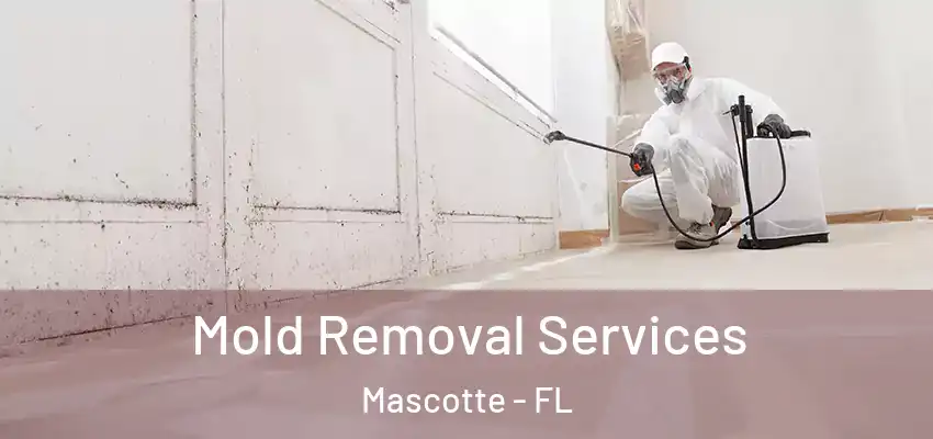Mold Removal Services Mascotte - FL