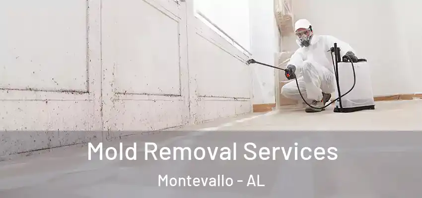 Mold Removal Services Montevallo - AL