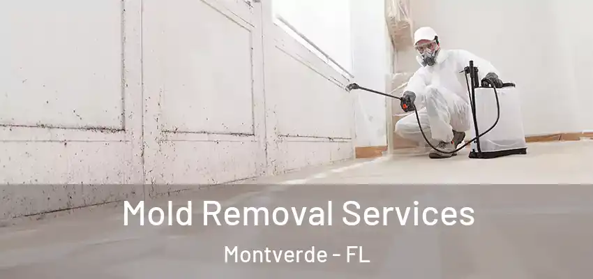 Mold Removal Services Montverde - FL
