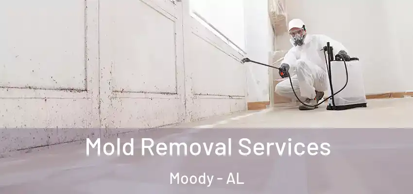 Mold Removal Services Moody - AL