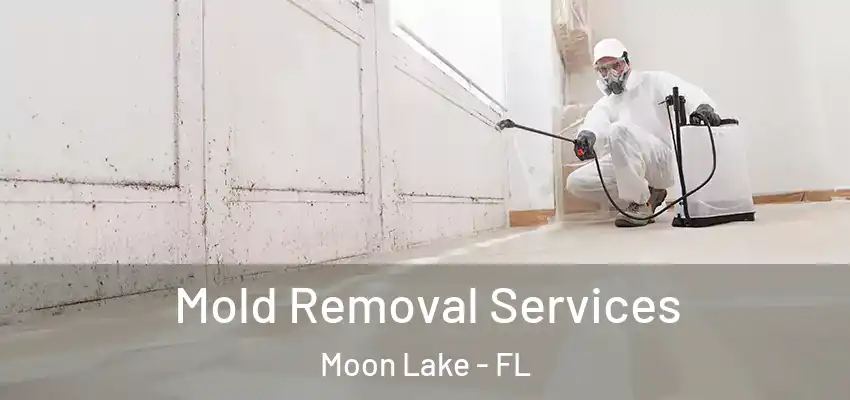 Mold Removal Services Moon Lake - FL