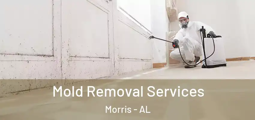 Mold Removal Services Morris - AL