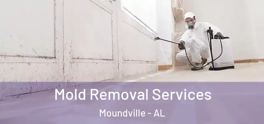 Mold Removal Services Moundville - AL