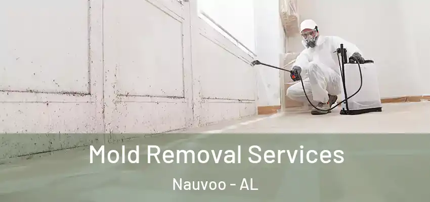 Mold Removal Services Nauvoo - AL