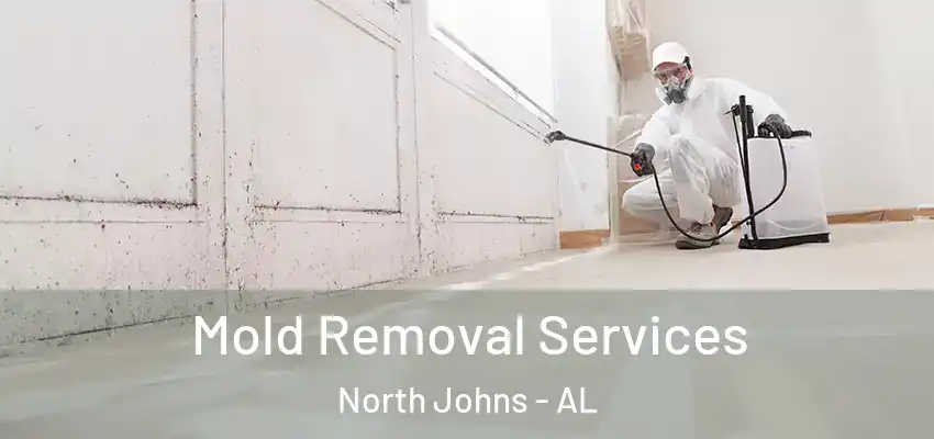 Mold Removal Services North Johns - AL