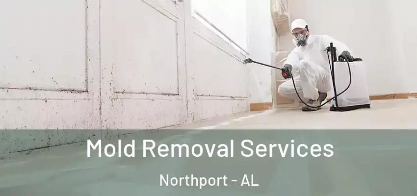  Mold Removal Services Northport - AL