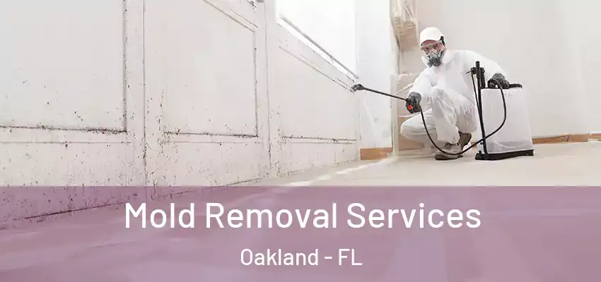 Mold Removal Services Oakland - FL