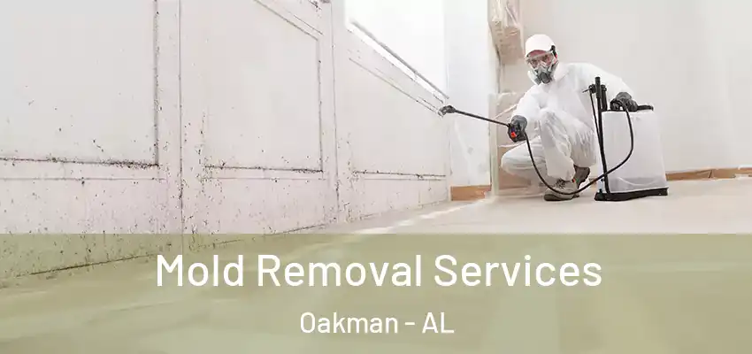 Mold Removal Services Oakman - AL