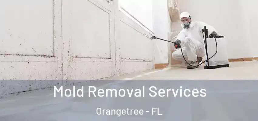 Mold Removal Services Orangetree - FL