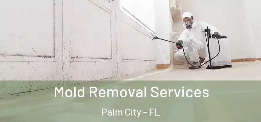  Mold Removal Services Palm City - FL