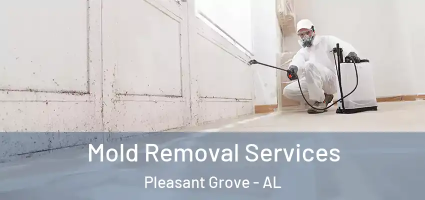 Mold Removal Services Pleasant Grove - AL