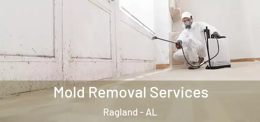 Mold Removal Services Ragland - AL
