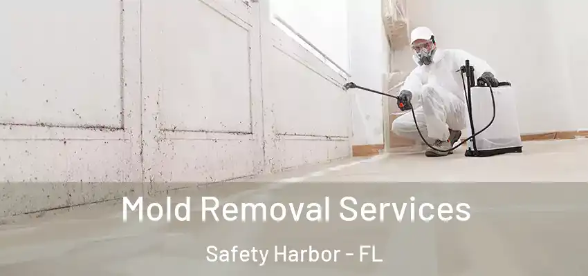 Mold Removal Services Safety Harbor - FL