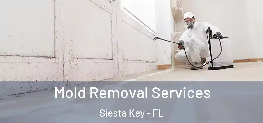 Mold Removal Services Siesta Key - FL