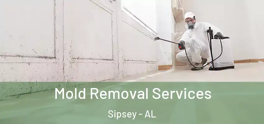Mold Removal Services Sipsey - AL