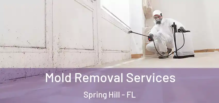 Mold Removal Services Spring Hill - FL