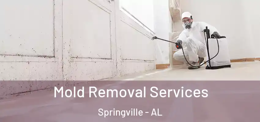 Mold Removal Services Springville - AL