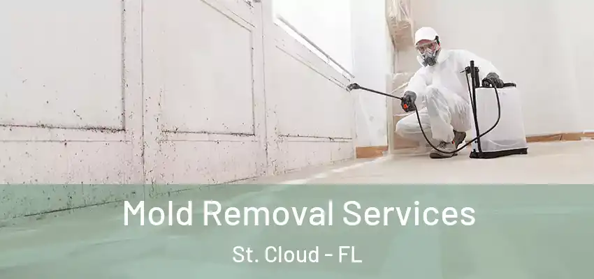 Mold Removal Services St. Cloud - FL