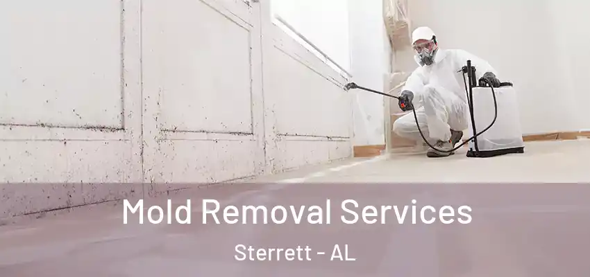 Mold Removal Services Sterrett - AL