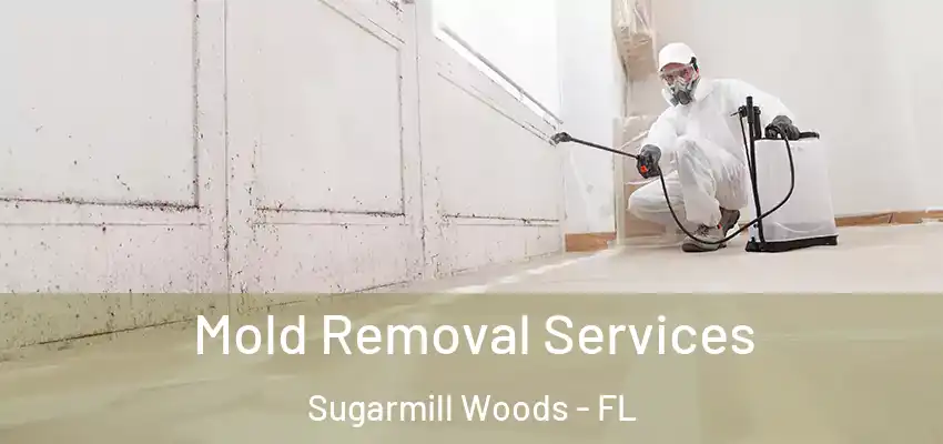 Mold Removal Services Sugarmill Woods - FL