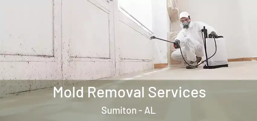 Mold Removal Services Sumiton - AL
