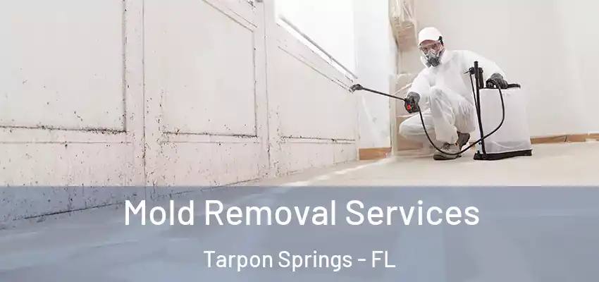  Mold Removal Services Tarpon Springs - FL