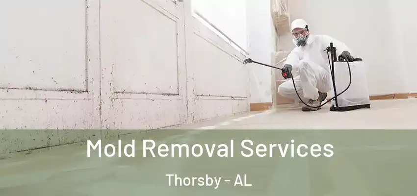 Mold Removal Services Thorsby - AL