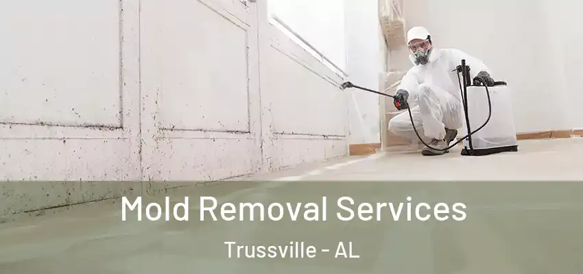 Mold Removal Services Trussville - AL