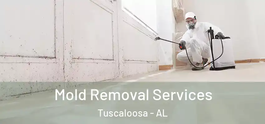  Mold Removal Services Tuscaloosa - AL