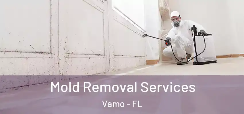 Mold Removal Services Vamo - FL