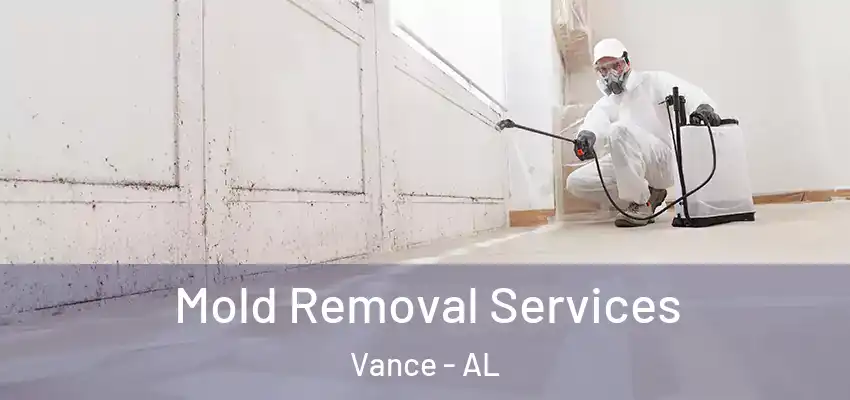 Mold Removal Services Vance - AL
