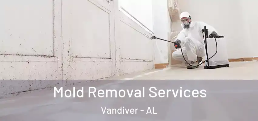 Mold Removal Services Vandiver - AL