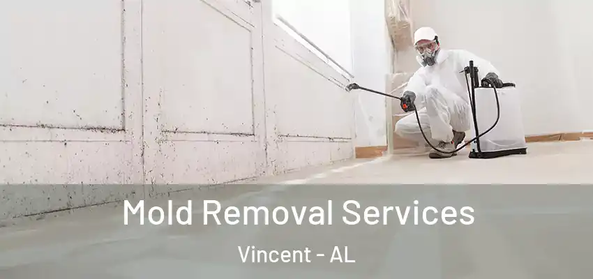 Mold Removal Services Vincent - AL