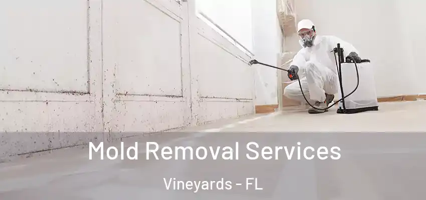 Mold Removal Services Vineyards - FL