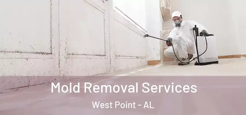 Mold Removal Services West Point - AL