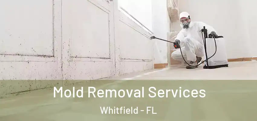 Mold Removal Services Whitfield - FL
