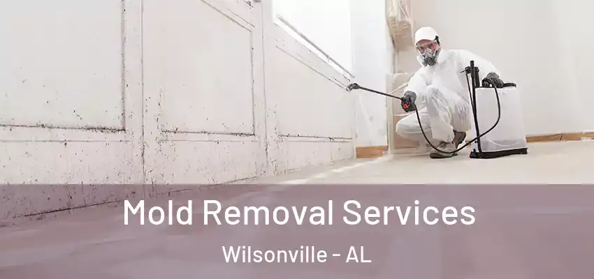 Mold Removal Services Wilsonville - AL