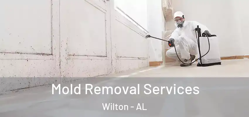 Mold Removal Services Wilton - AL
