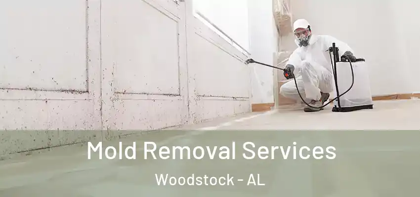 Mold Removal Services Woodstock - AL