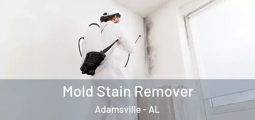  Mold Stain Remover Adamsville - AL