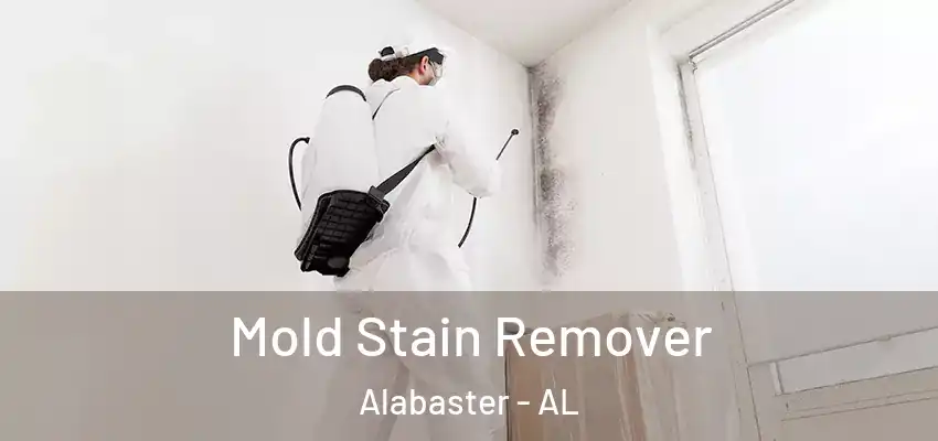  Mold Stain Remover Alabaster - AL