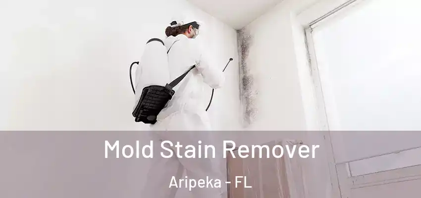  Mold Stain Remover Aripeka - FL