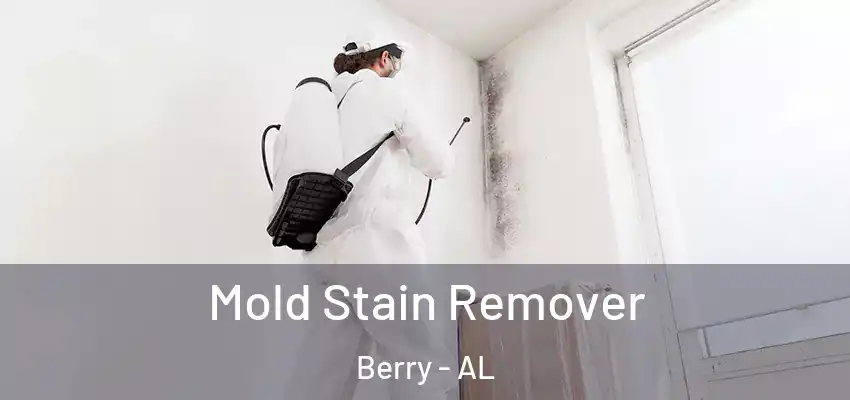 Mold Stain Remover Berry - AL