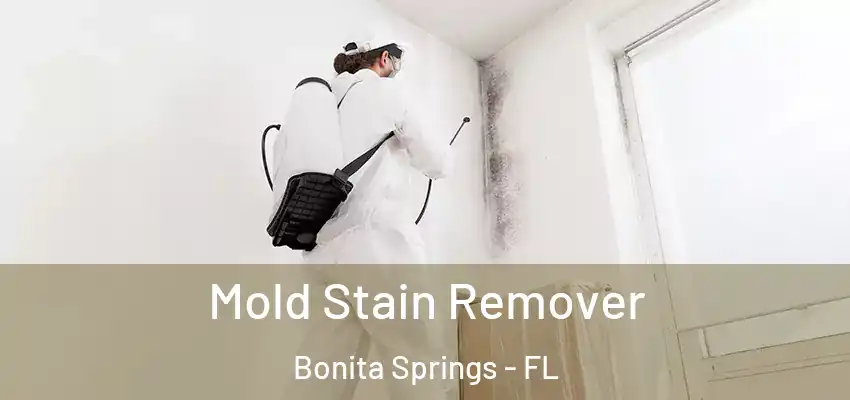 Mold Stain Remover Bonita Springs - FL
