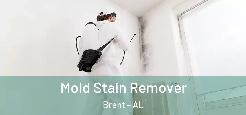 Mold Stain Remover Brent - AL