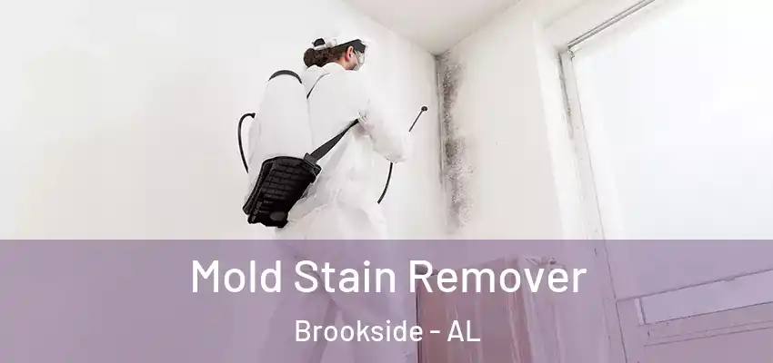  Mold Stain Remover Brookside - AL