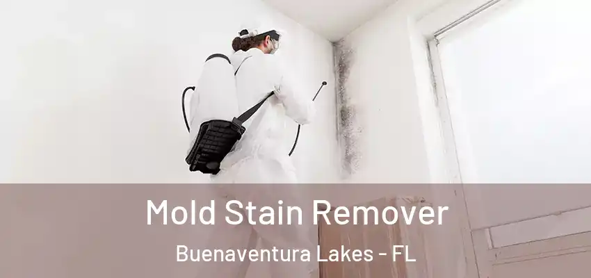 Mold Stain Remover Buenaventura Lakes - FL